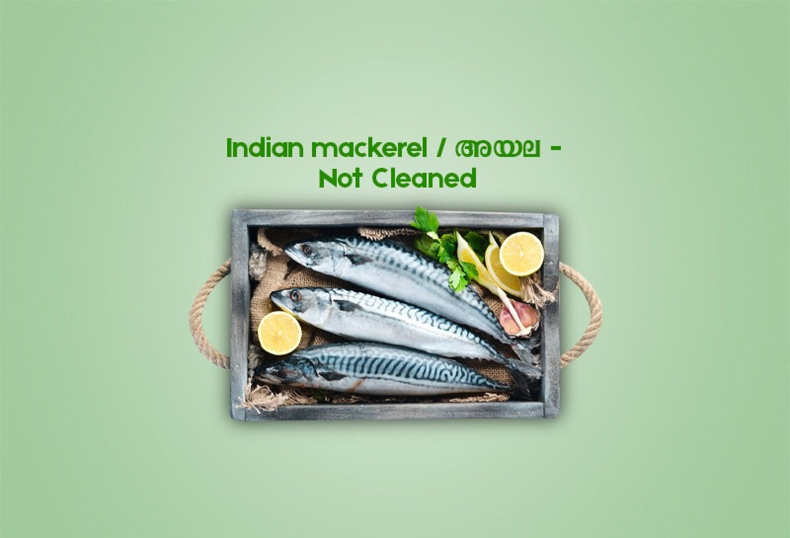 Cleaned Indian mackerel Medium / അയല (400gm) 